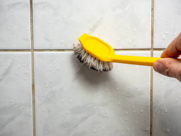 Best Fast Mold Removal  in Iowa, LA